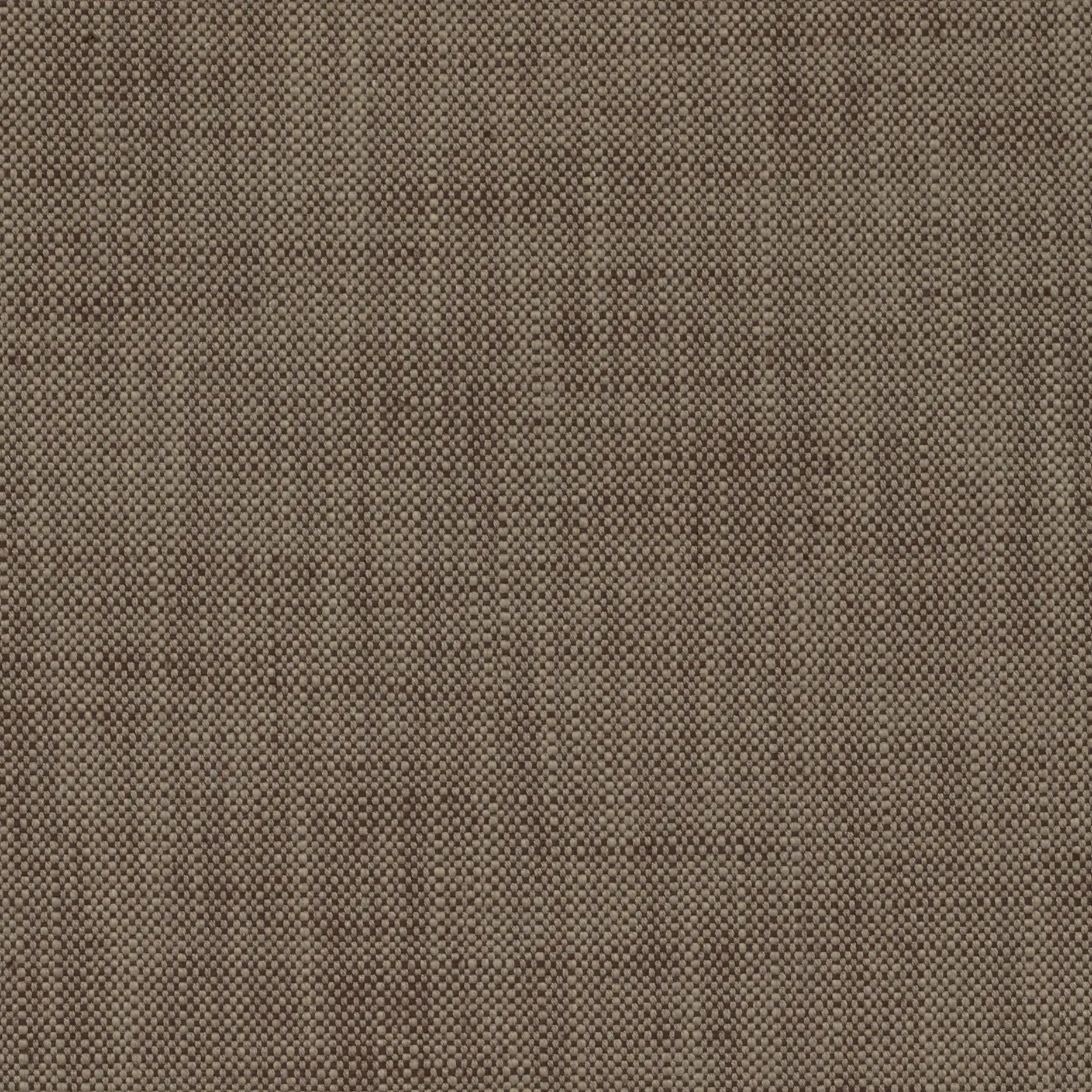 Lily KM501-012