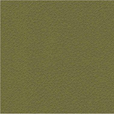 Stellar KM445-019