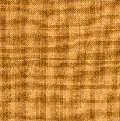 Neira KM596-024
